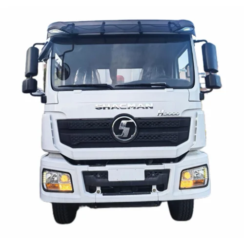 Shaanxi Auto Delong H3000 Dump Truck - image 2